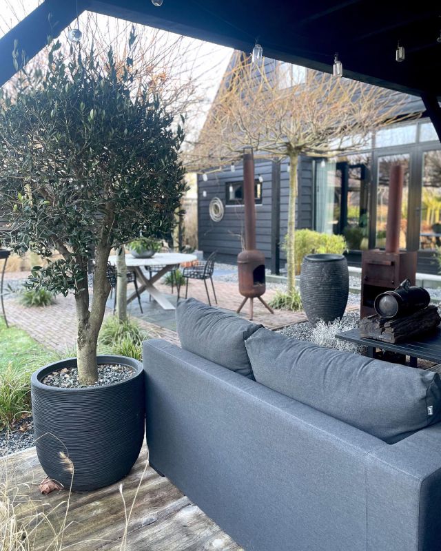 Wàt een enorme golf lieve reacties op de vorige mijlpaal, dank jullie wel!🥳 
En nu weer door want ik wil hier van alles versleept hebben, wat ik niet alleen kan. drie keer raden wie de sjaak is😜