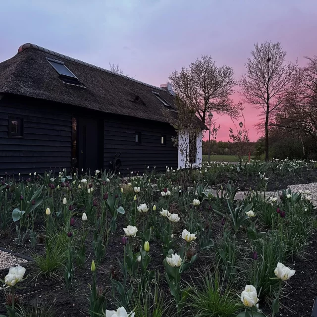 🖤+🤍🌷=💘Shoppen of schoffelen? Als ik hier de voortuin schoffel kan ik mooi de pakketjes die ik online bestelde ontvangst nemen.. win-win!  Zo trots hoe de tuin langzaam éindelijk groen wordt en je langzaam het ontwerp gaat zien wat ik al zo lang in gedachten had! Inclusief de witte en zwarte tulpen, morgen een filmpje ervan doen?

.
.

Tulpen besteld bij @passionfortulips . Prachtig assortiment van Nederlandse kwekers

#tuinontwerp #tulpen#tulips #wendy_studiozinnig #renovatieproject